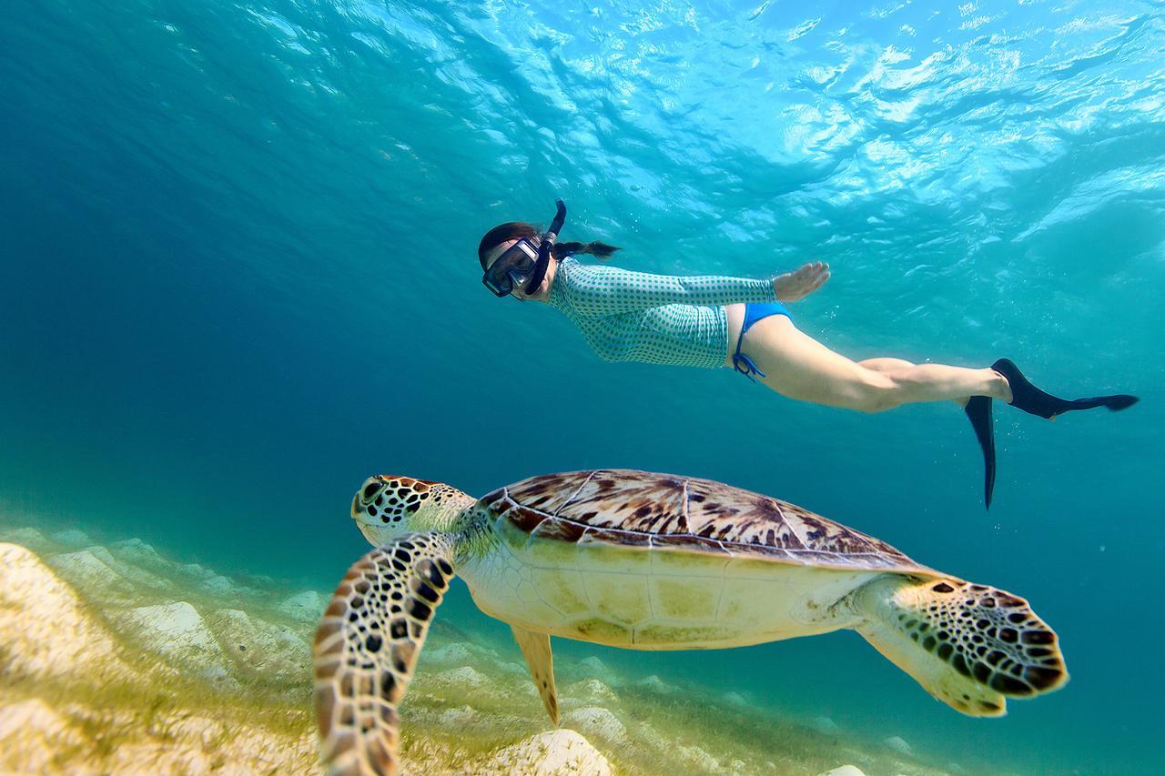 Seadina Coral Home Matara Zewnętrze zdjęcie
